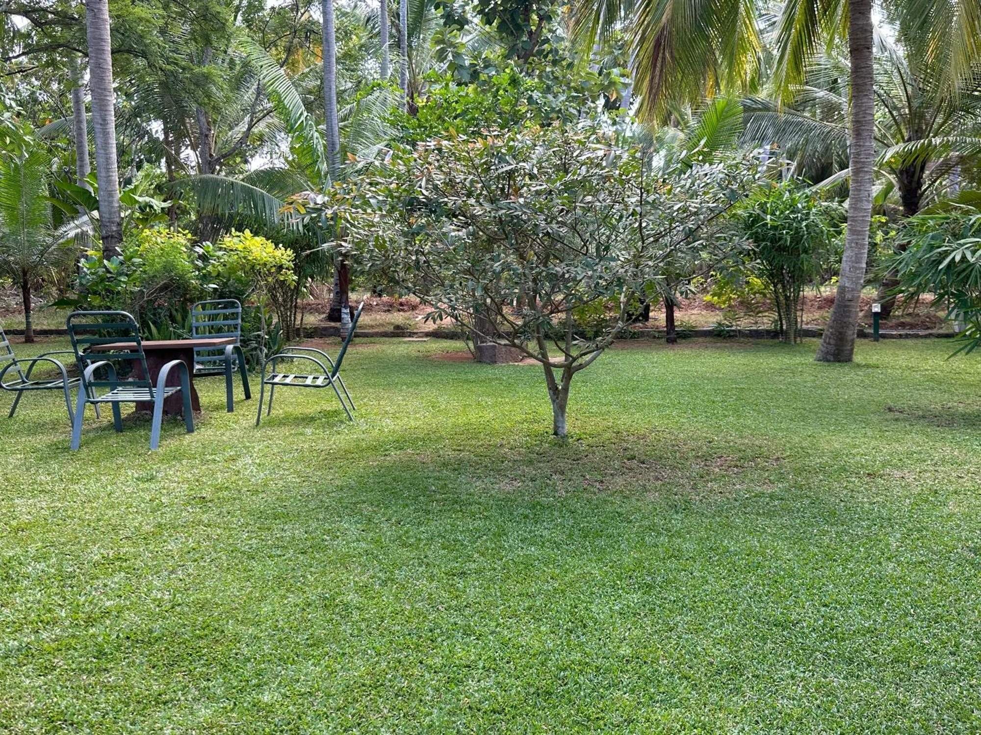 Hotel Heladiv Anuradhapura Dış mekan fotoğraf