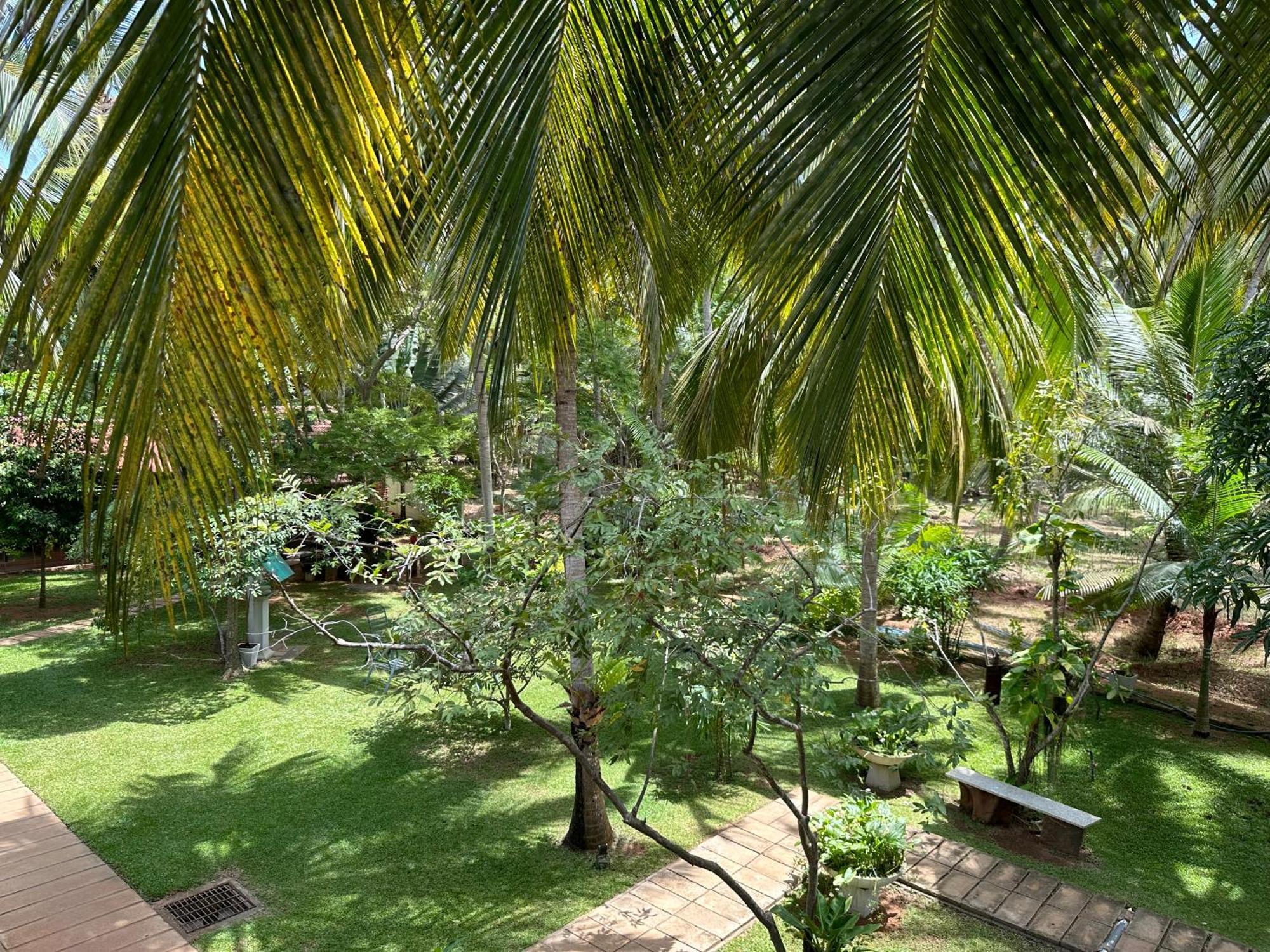 Hotel Heladiv Anuradhapura Dış mekan fotoğraf
