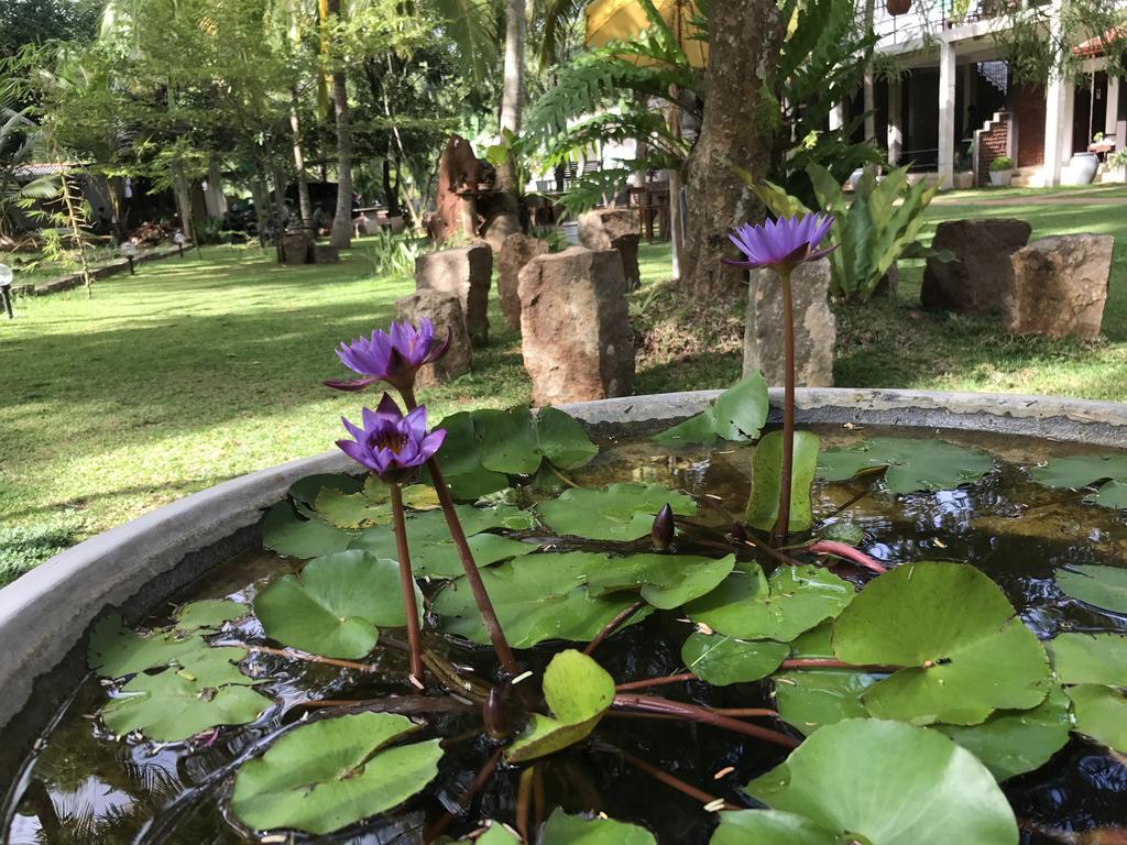 Hotel Heladiv Anuradhapura Dış mekan fotoğraf